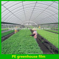good quality and cheap agriculture Plastic Film For Greenhouse 5 years